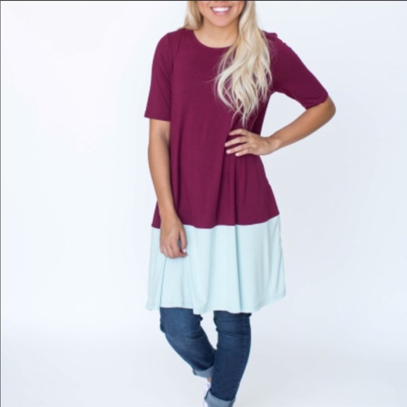 Agnes & Dora Tops - Agnes & Dora color block berry swing tunic NWT Agnes & Dora Tops - Agnes & Dora color block berry swing tunic NWT